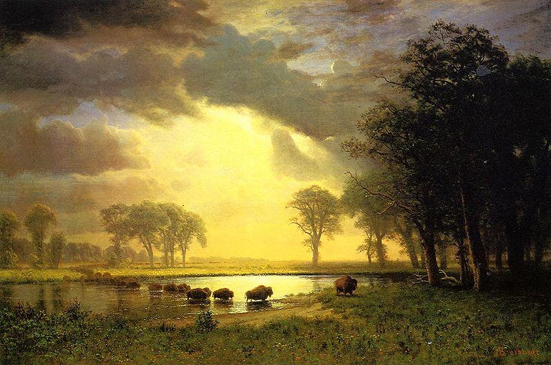Albert Bierstadt The_Buffalo_Trail oil painting image